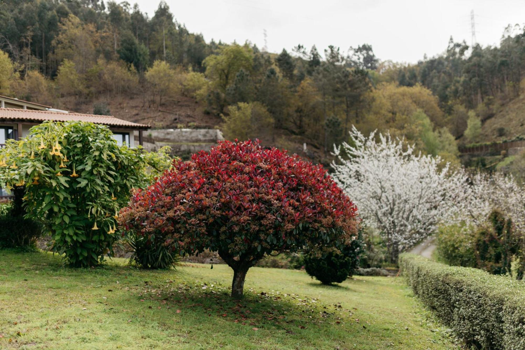 Отель Quinta Do Bento Виейра-ду-Минью Экстерьер фото
