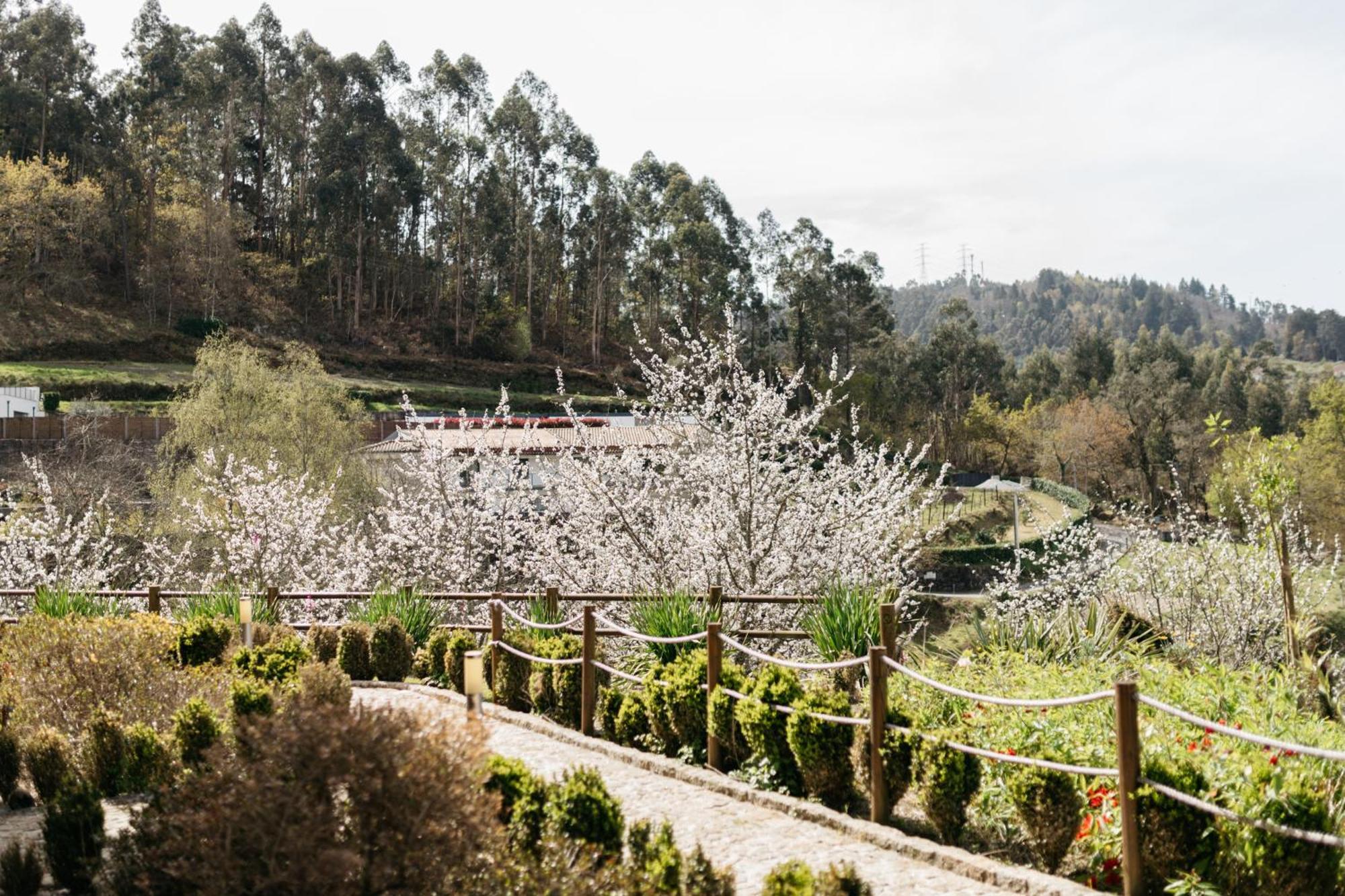 Отель Quinta Do Bento Виейра-ду-Минью Экстерьер фото